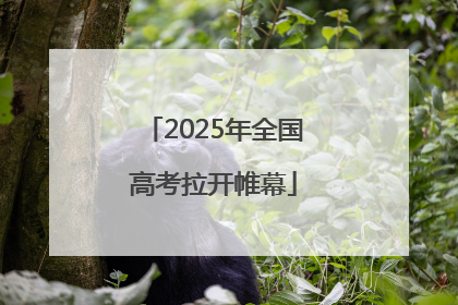 2025年全国高考拉开帷幕