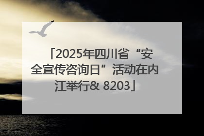2025年四川省“安全宣传咨询日”活动在内江举行& 8203