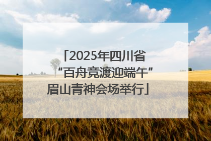 2025年四川省“百舟竞渡迎端午”眉山青神会场举行