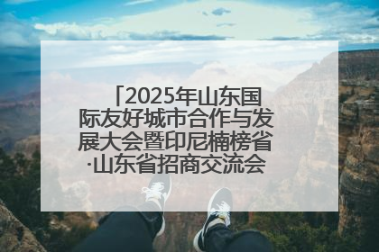 2025年山东国际友好城市合作与发展大会暨印尼楠榜省·山东省招商交流会在济南槐荫举行
