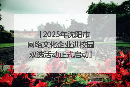 2025年沈阳市网络文化企业进校园双选活动正式启动