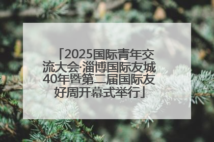 2025国际青年交流大会·淄博国际友城40年暨第二届国际友好周开幕式举行