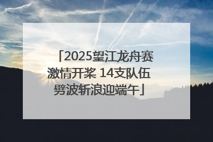 2025望江龙舟赛激情开桨 14支队伍劈波斩浪迎端午
