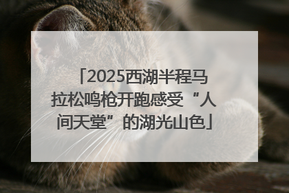 2025西湖半程马拉松鸣枪开跑感受“人间天堂”的湖光山色