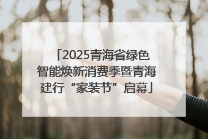 2025青海省绿色智能焕新消费季暨青海建行“家装节”启幕