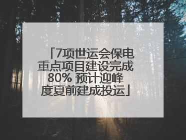 7项世运会保电重点项目建设完成80% 预计迎峰度夏前建成投运