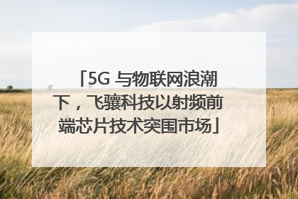 5G 与物联网浪潮下，飞骧科技以射频前端芯片技术突围市场