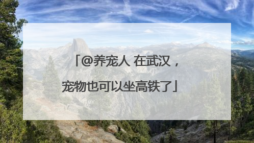 @养宠人 在武汉，宠物也可以坐高铁了