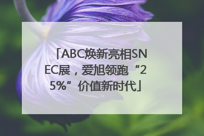 ABC焕新亮相SNEC展，爱旭领跑“25%”价值新时代