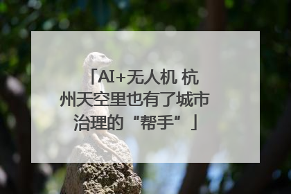 AI+无人机 杭州天空里也有了城市治理的“帮手”