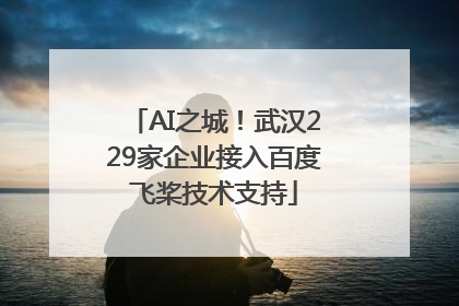 AI之城！武汉229家企业接入百度飞桨技术支持